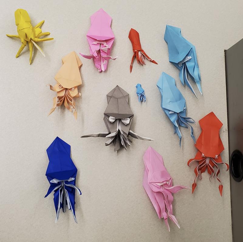 The squids of Cal Origami. Can you spot the imposter?
