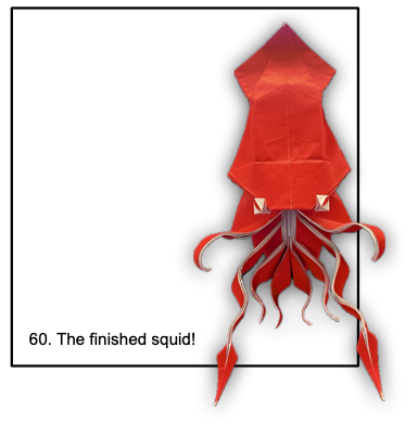 Photodiagrams for my squid from EBOC 2024